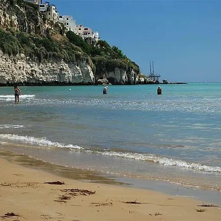 Bilocale 2 Resort